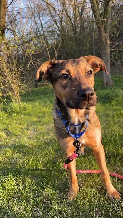 Winding Creek Animal Hospital Picture 10