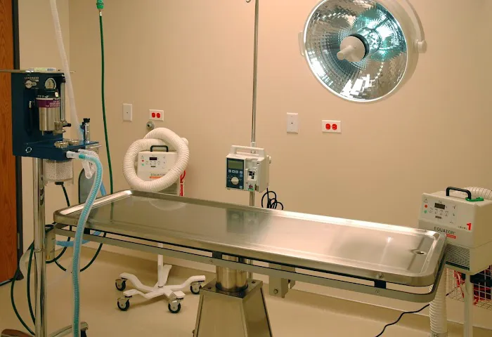 Healthy Paws Animal Hospital Picture 7