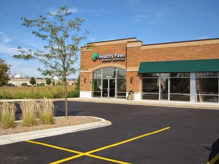 Healthy Paws Animal Hospital Picture 10