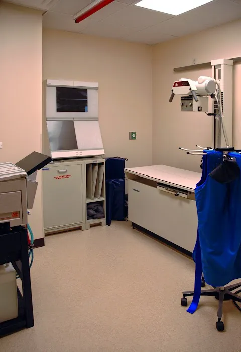 Healthy Paws Animal Hospital Picture 9