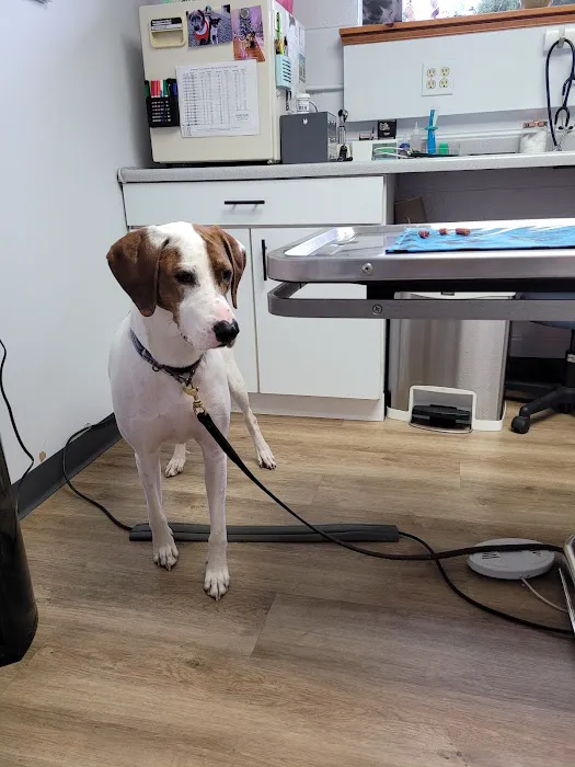 Fox Valley Animal Hospital Picture 2