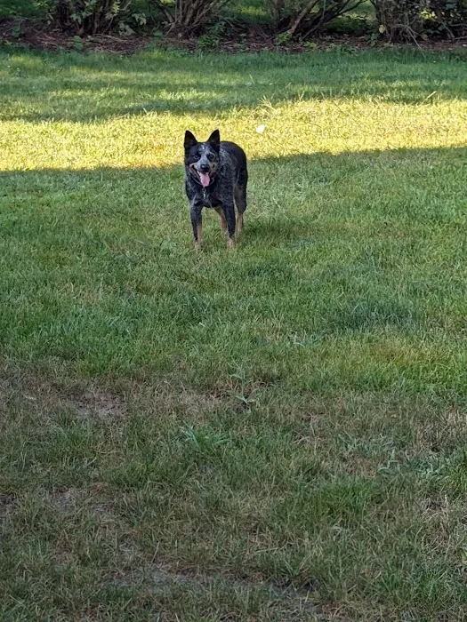 Fox Valley Animal Hospital Picture 5