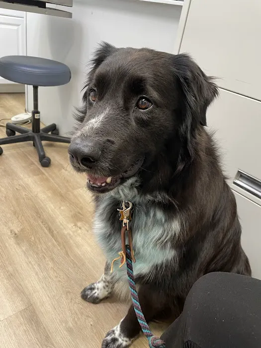 Fox Valley Animal Hospital Picture 6