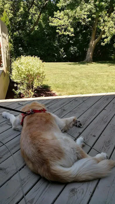 Fox Valley Animal Hospital Picture 10
