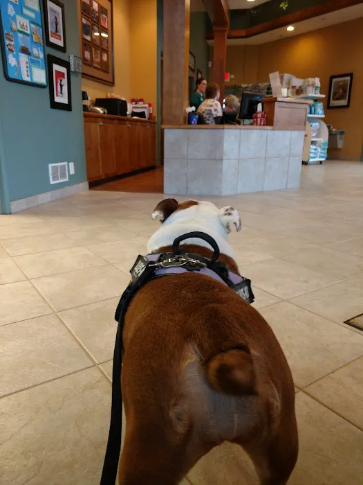 Huntley Veterinary Hospital Picture 2