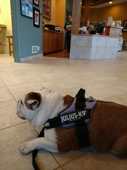 Huntley Veterinary Hospital Picture 3