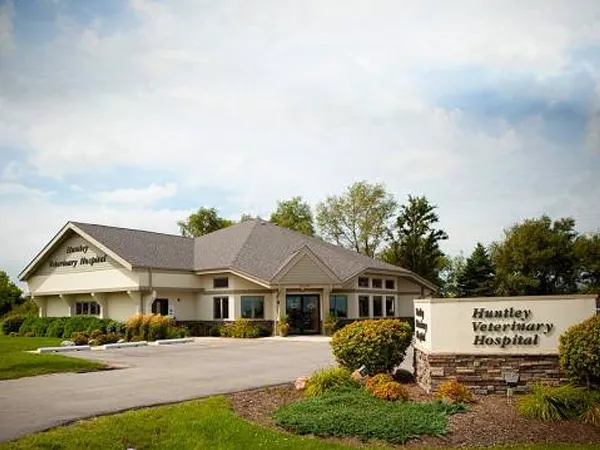 Huntley Veterinary Hospital Picture 10