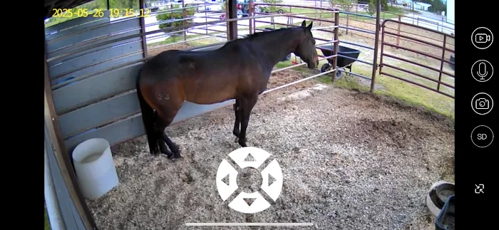 Kendall Road Equine Hospital Picture 3