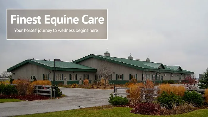 Kendall Road Equine Hospital Picture 2