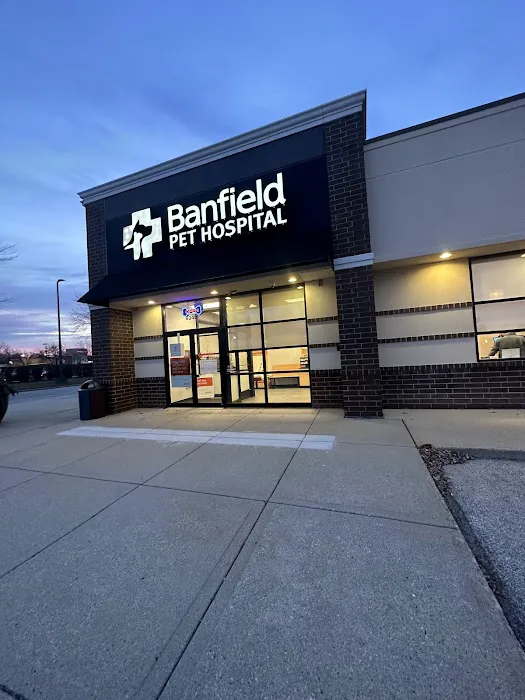 Banfield Pet Hospital Picture 5