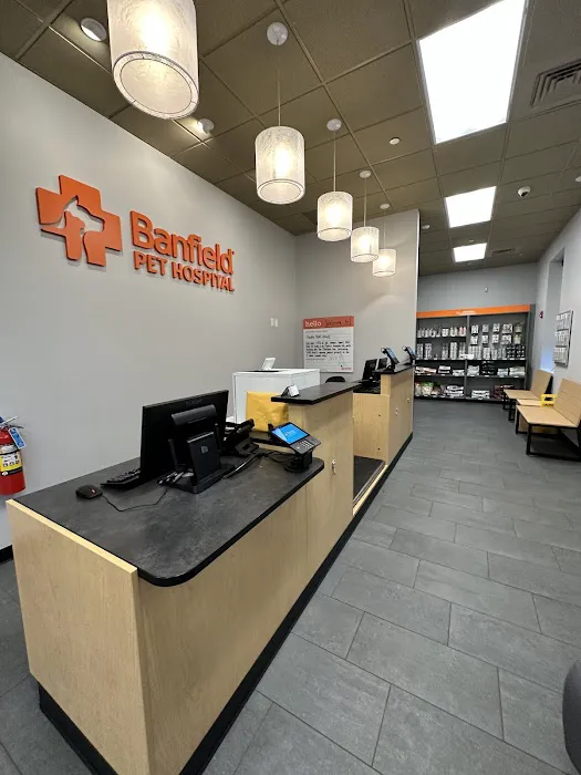 Banfield Pet Hospital Picture 7