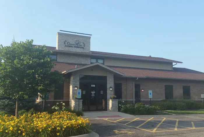 GreenTree Animal Hospital Picture 6