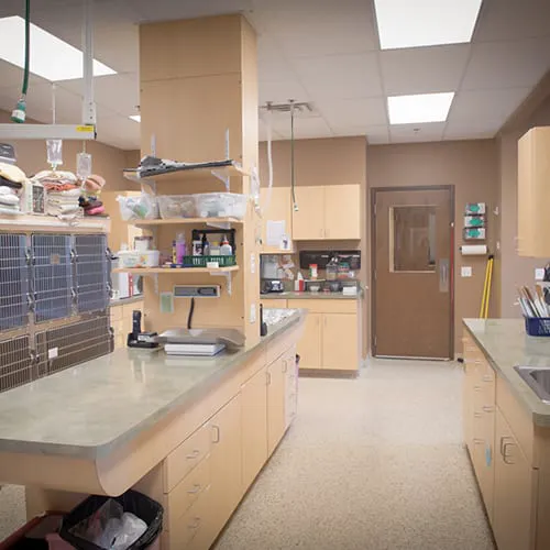 GreenTree Animal Hospital Picture 9