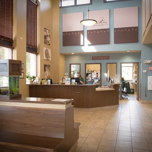 GreenTree Animal Hospital Picture 10