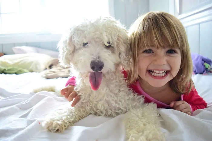 Forest Bluff Animal Hospital Picture 6