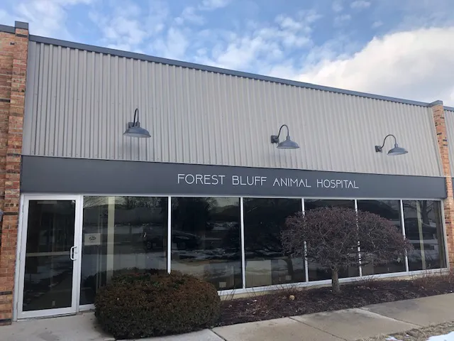 Forest Bluff Animal Hospital Picture 9