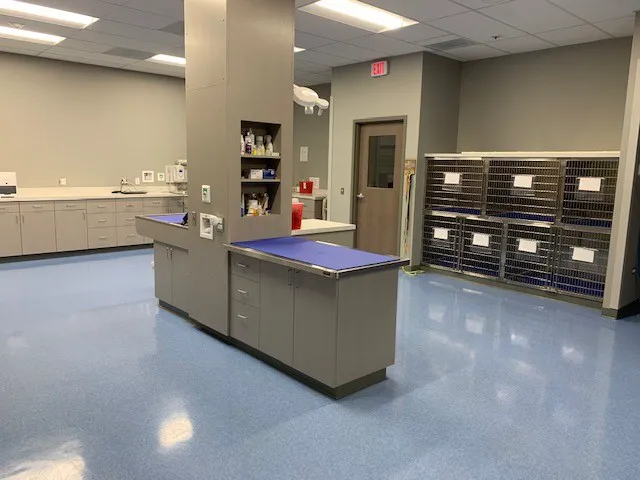 Forest Bluff Animal Hospital Picture 10