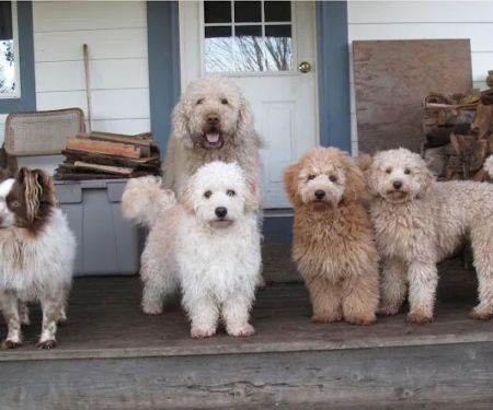 Keepers Animal Clinic