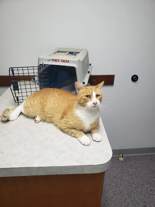 Scatter Creek Animal Clinic Picture 3