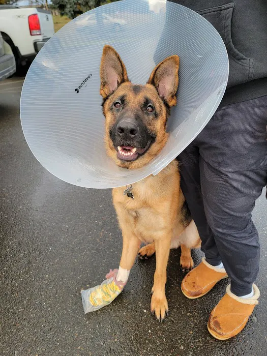 Scatter Creek Animal Clinic Picture 1