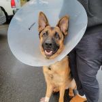 Scatter Creek Animal Clinic