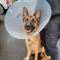 Scatter Creek Animal Clinic ico