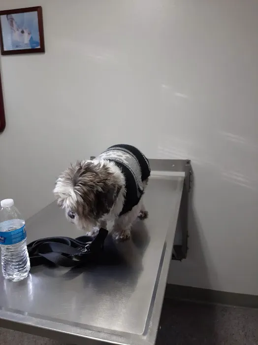 Scatter Creek Animal Clinic Picture 5