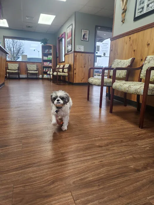 Deschutes Animal Clinic Picture 4