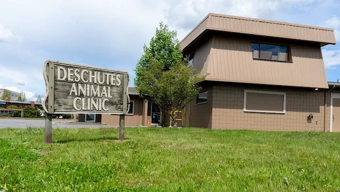 Deschutes Animal Clinic Picture 9