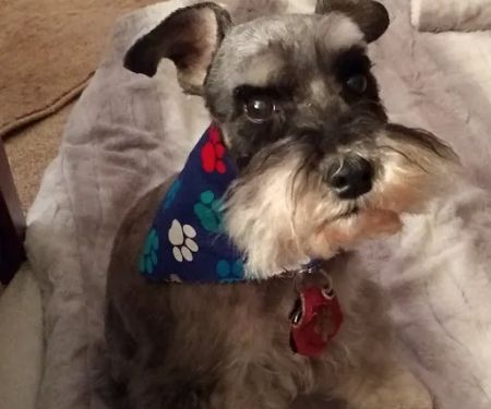 Tumwater Veterinary Hospital