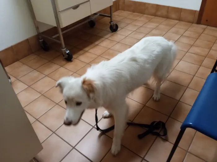 Ford's Prairie Animal Clinic Picture 1