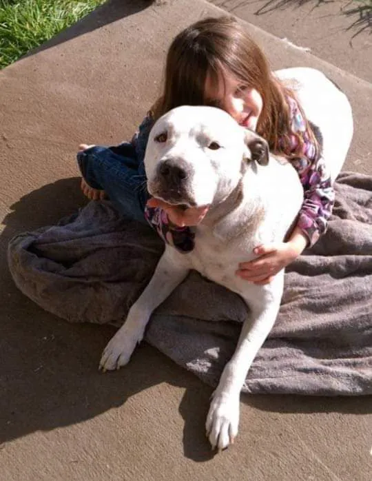 Ford's Prairie Animal Clinic Picture 3