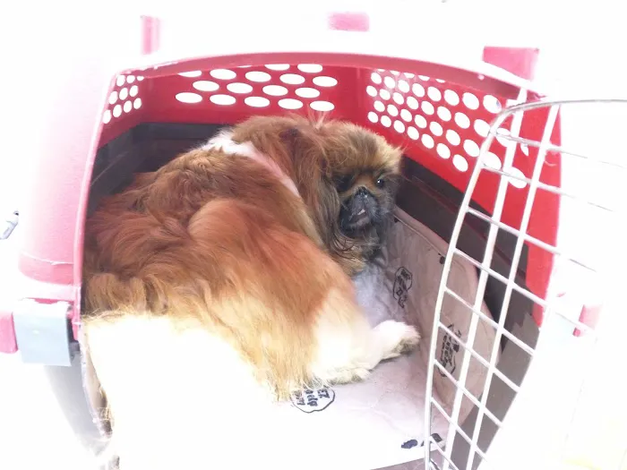 Ford's Prairie Animal Clinic Picture 5