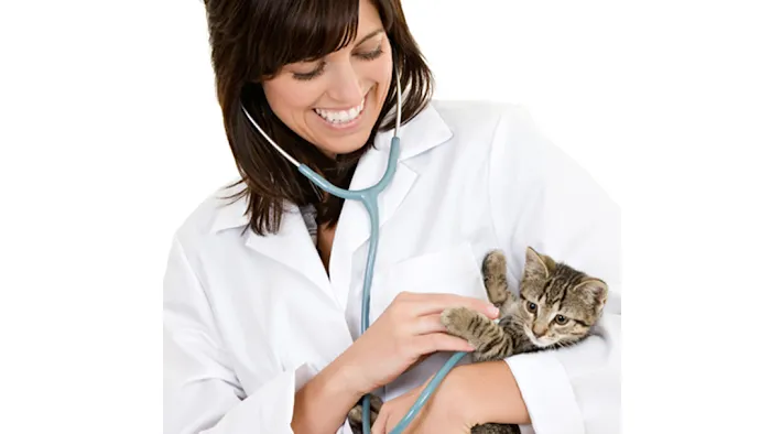 Ford's Prairie Animal Clinic Picture 10
