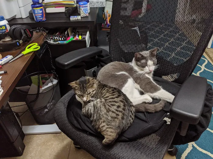 Our Pet's Vet Picture 6