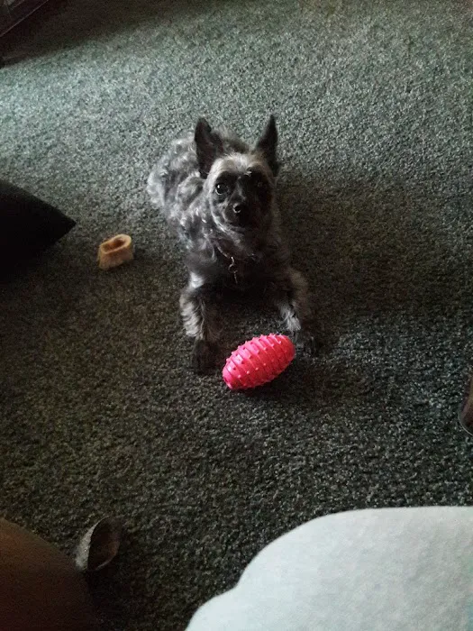 Jeronimo Pet Clinic Picture 1