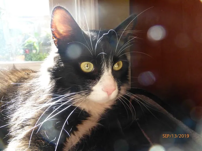 Jeronimo Pet Clinic Picture 5