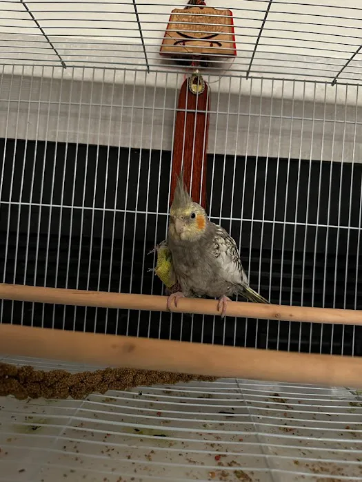 Serrano Animal & Bird Hospital Picture 4