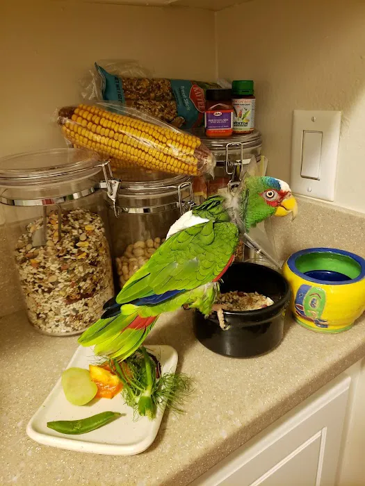 Serrano Animal & Bird Hospital Picture 7