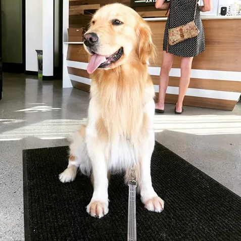 Baker Ranch Animal Hospital Picture 4