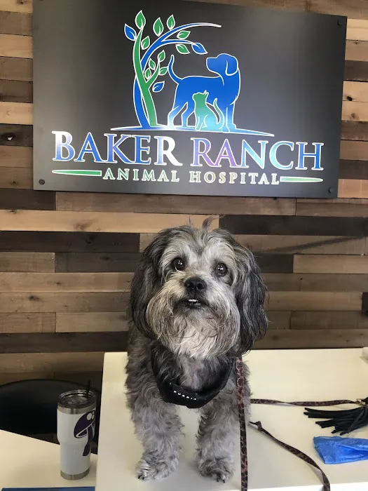 Baker Ranch Animal Hospital Picture 5