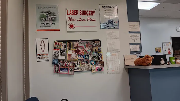 Plaza Pet Hospital Picture 2