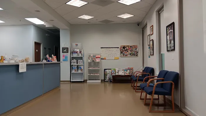 Plaza Pet Hospital Picture 3