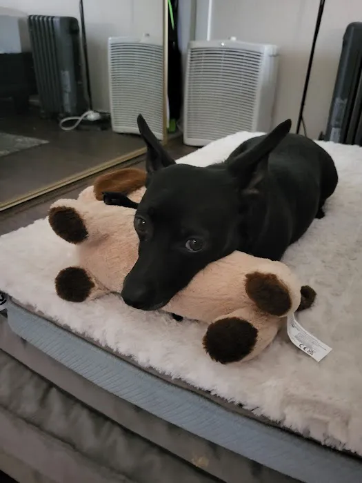 Banfield Pet Hospital Picture 2