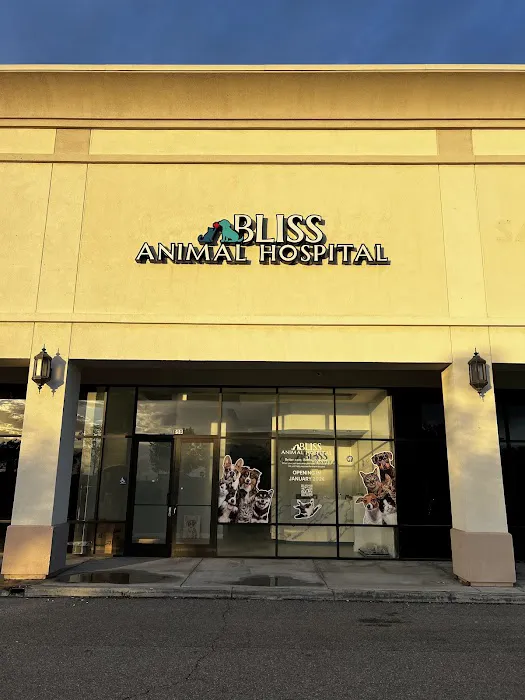 Bliss Animal Hospital Picture 2