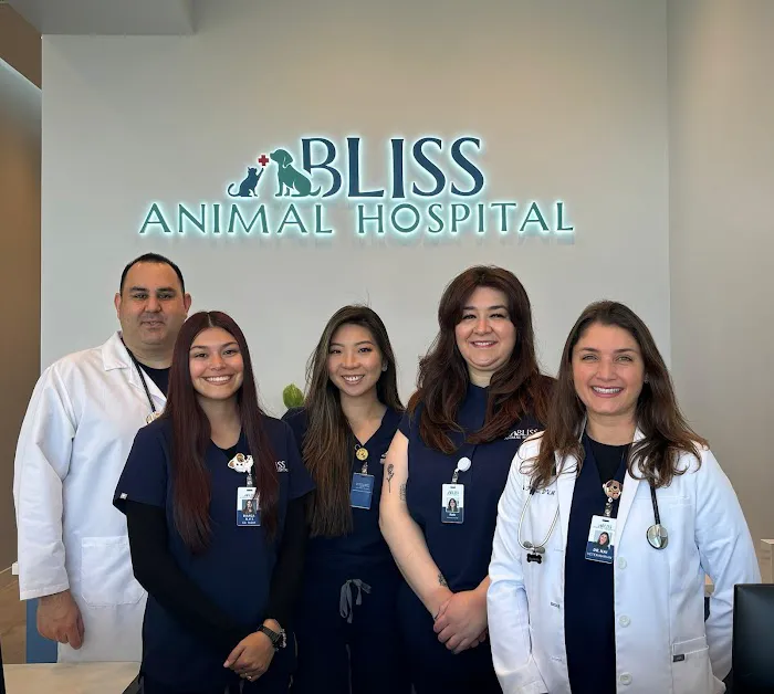 Bliss Animal Hospital Picture 8