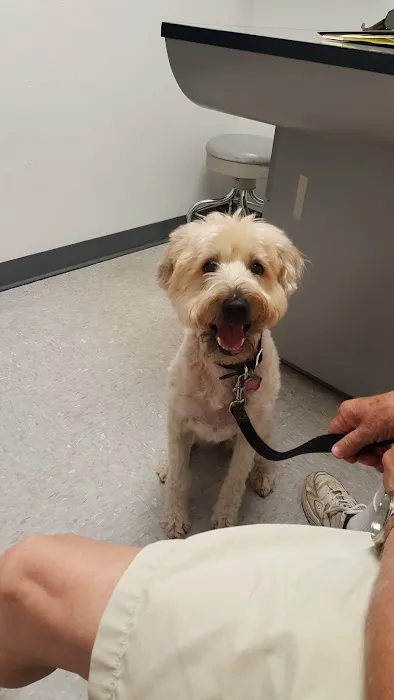 Alisos Animal Hospital Picture 4