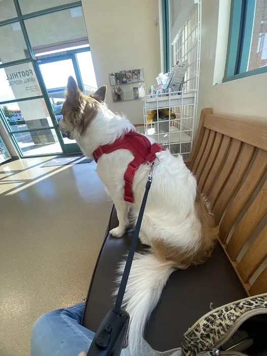 Foothill Animal Hospital, Inc. Picture 1
