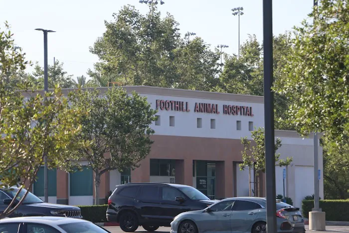 Foothill Animal Hospital, Inc. Picture 10