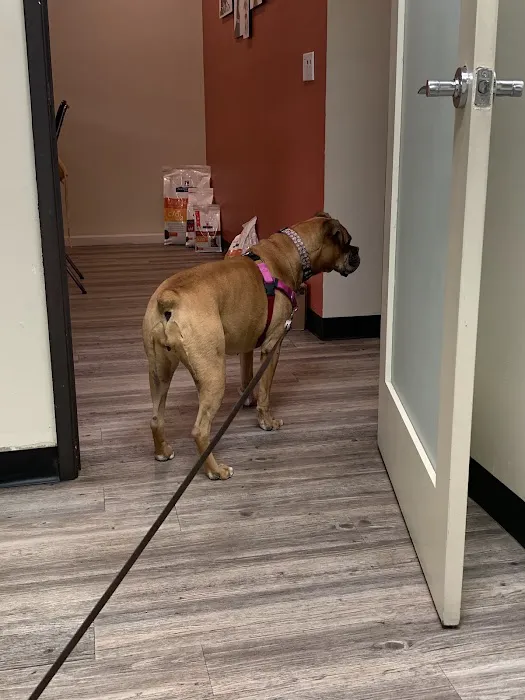 Oso Pet Care Center Picture 8